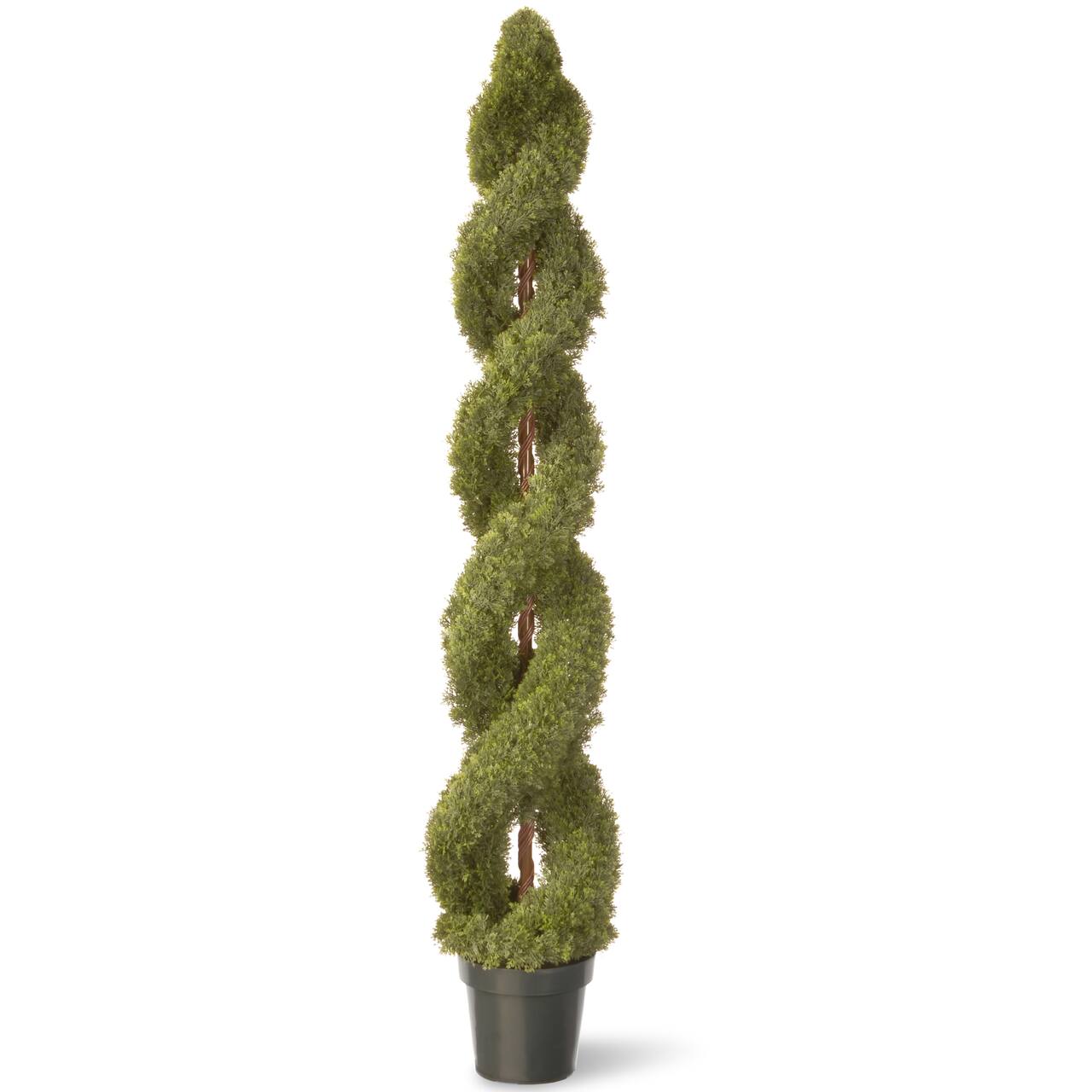 6ft. Double Cedar Spiral with Green Pot